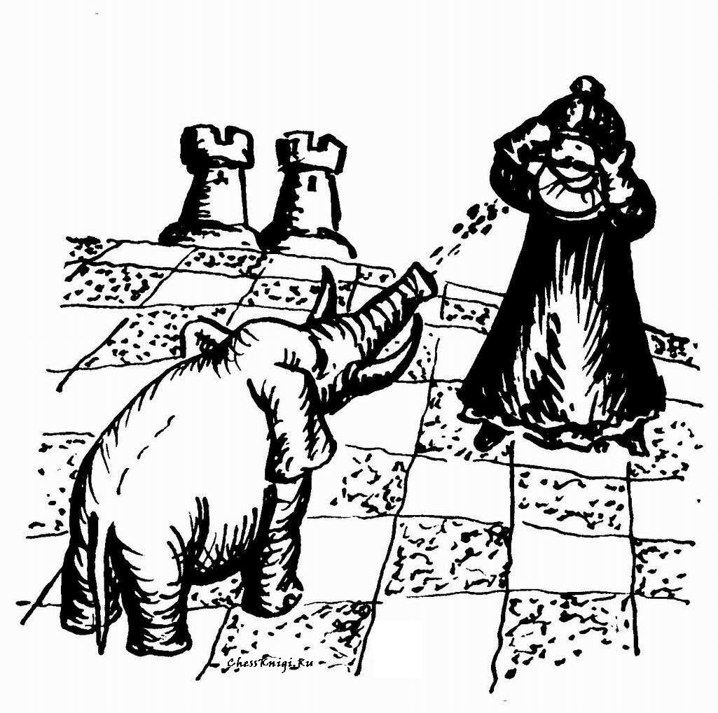 Василеостровская шахматная конференци